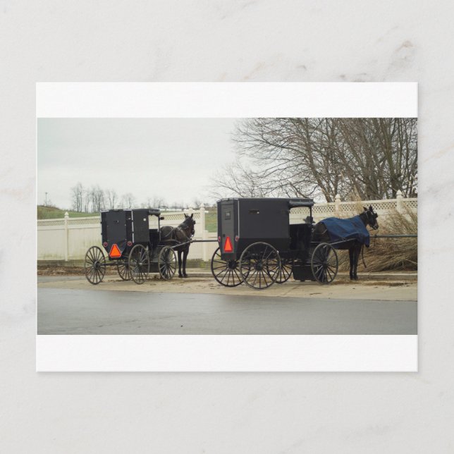 Amish Buggy "Parking Lot" Vykort (Framsida)