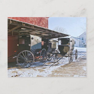 Amish Buggy Port Vykort