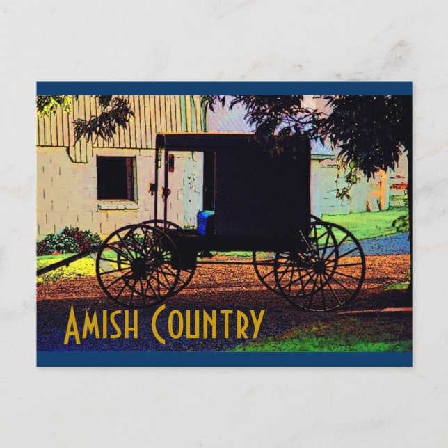 Amish Buggy Postcard Vykort (Framsida)