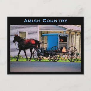 Amish Buggy Postcard Vykort