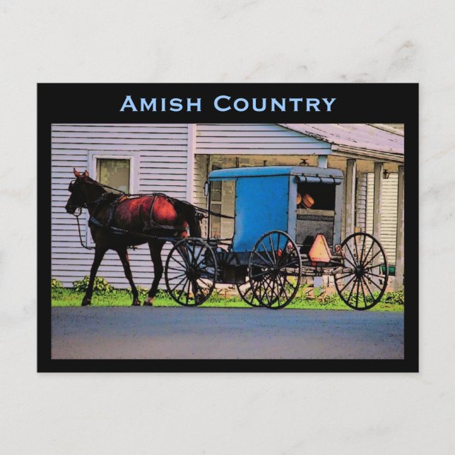 Amish Buggy Postcard Vykort (Framsida)