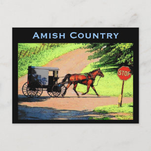 Amish Buggy Postcard Vykort