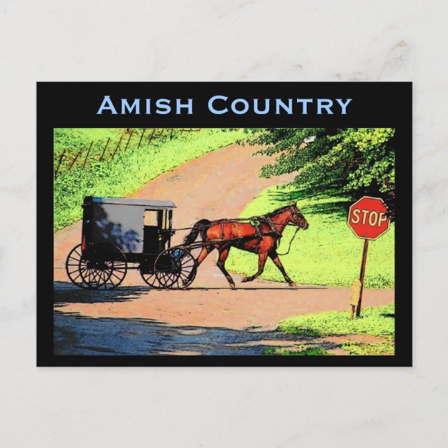 Amish Buggy Postcard Vykort (Framsida)