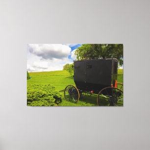Amish Buggy vid Hillside Farm Canvastryck