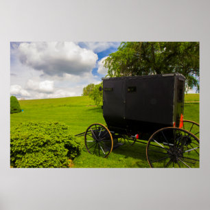 Amish Buggy vid Hillside Farm Poster
