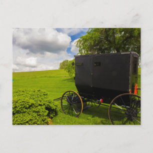 Amish Buggy vid Hillside Farm Vykort
