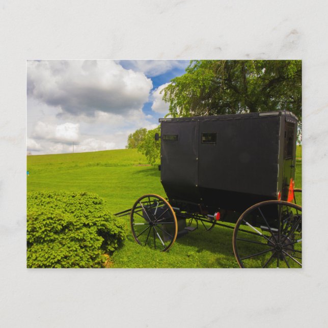 Amish Buggy vid Hillside Farm Vykort (Framsida)