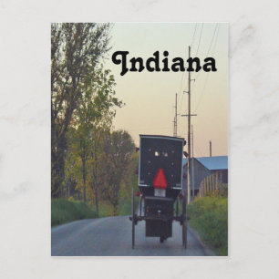 Amish Buggy Vykort