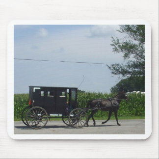 Amish buggyritt musmatta