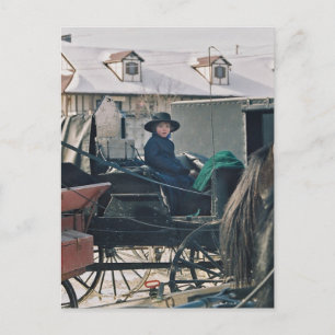 Amish Child in Buggy-Postcard Vykort