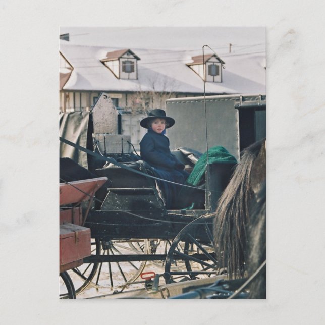 Amish Child in Buggy-Postcard Vykort (Framsida)