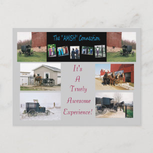 "AMISH"Connection Postcard" Vykort