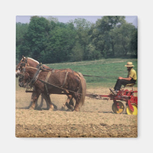 Amish Country enkla människor inom jordbruk med Magnet