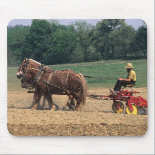Amish Country enkla människor inom jordbruk med Musmatta