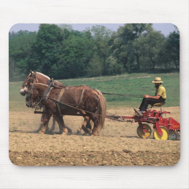 Amish Country enkla människor inom jordbruk med Musmatta (Framsidan)