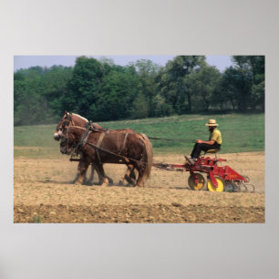 Amish Country enkla människor inom jordbruk med Poster