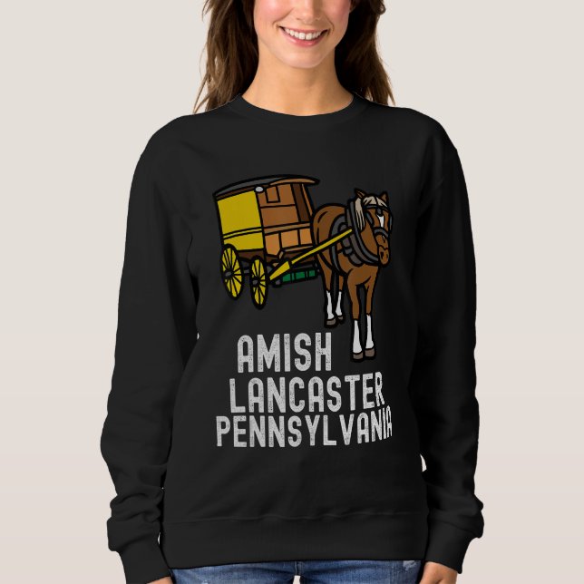 Amish Country Pennsylvania  Horse And Carriage 2 T Shirt (Framsida)