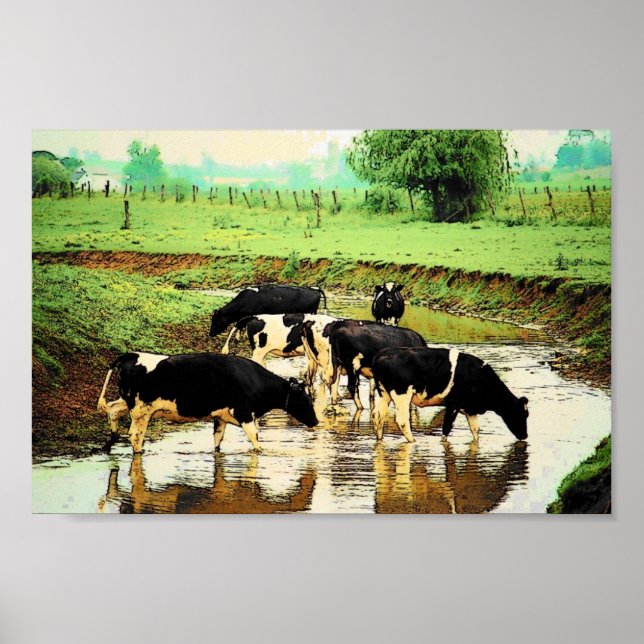 Amish Cows Poster (Framsidan)
