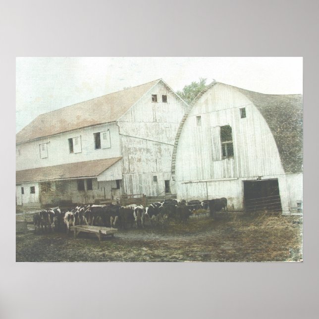 Amish Dairy Poster (Framsidan)