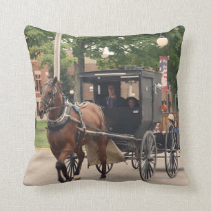 Amish dekorativ kudde