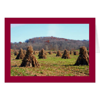 Amish Fält Hälsningskort