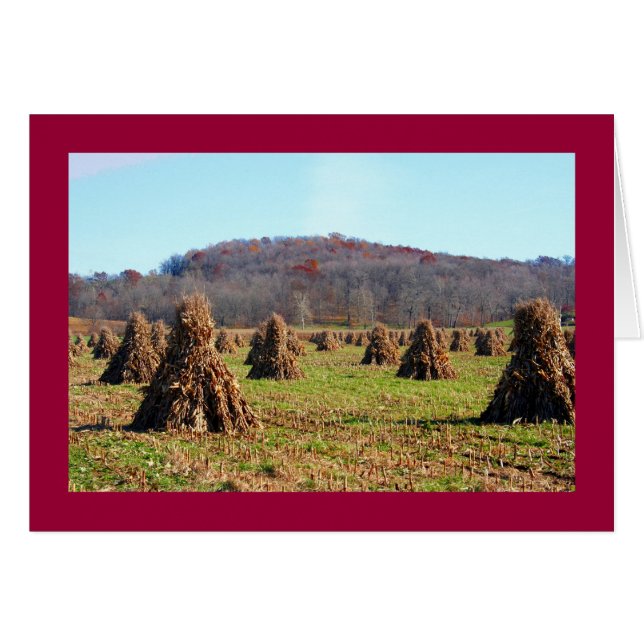 Amish Fält Hälsningskort (Framsidan Horizontal)