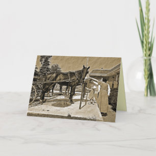Amish Family Petting Horse Greeting Card Kort