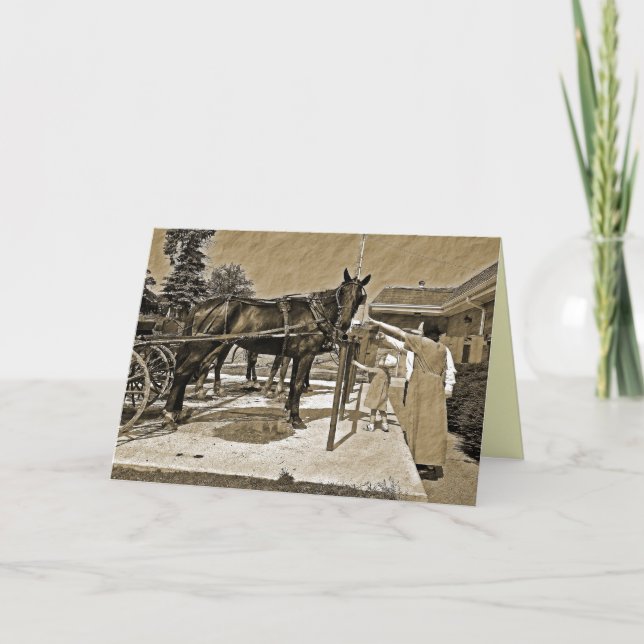Amish Family Petting Horse Greeting Card Kort (Framsida)