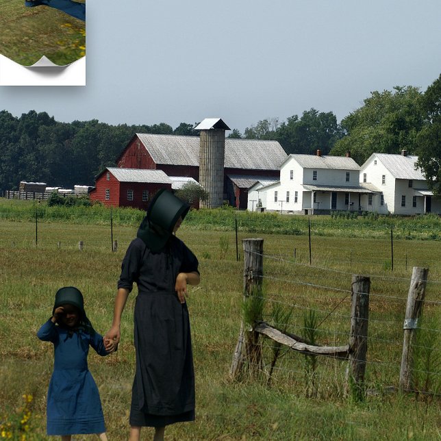 Amish Farm Life Poster (Skapare uppladdad)