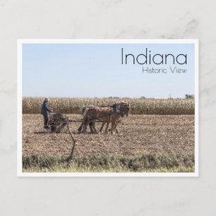 Amish Farmer Planting Maj Vykort