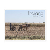 Amish Farmer Planting Maj