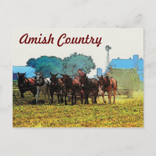 Amish Farming Postcard Vykort