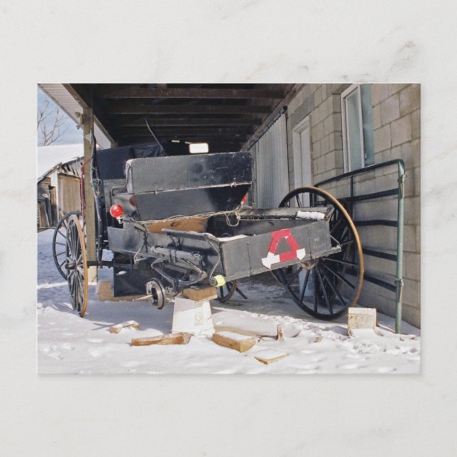 Amish Flat-Postcard Vykort (Framsida)