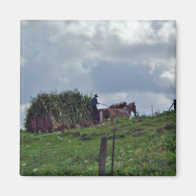 Amish Harvest Magnet (Framsidan)