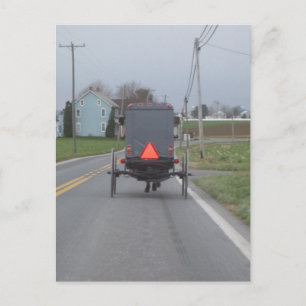 Amish häst- & Buggyvykort Vykort