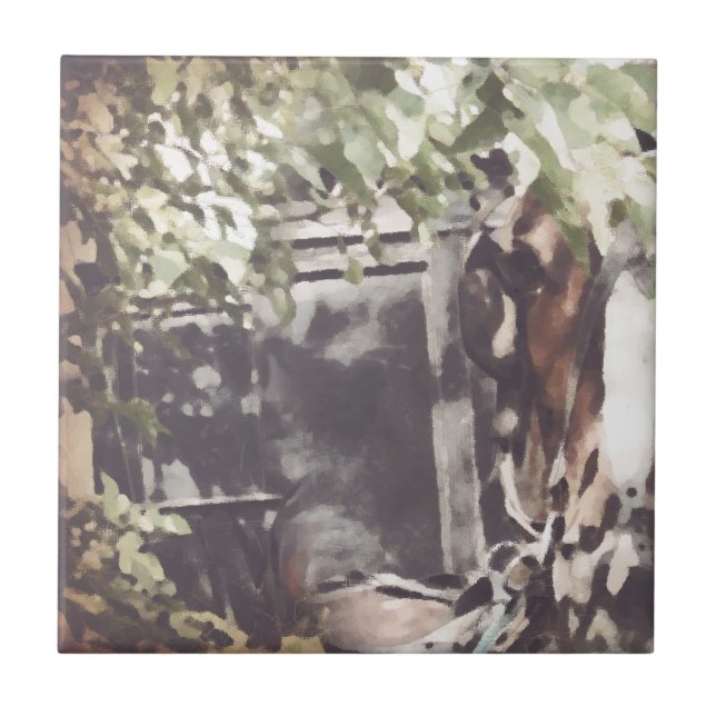 Amish-häst Kakelplatta (Framsidan)