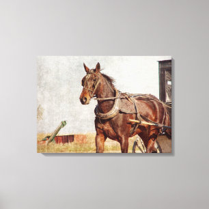 Amish häst och Buggy Canvastryck