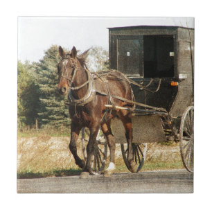 Amish häst och Buggy Kakelplatta