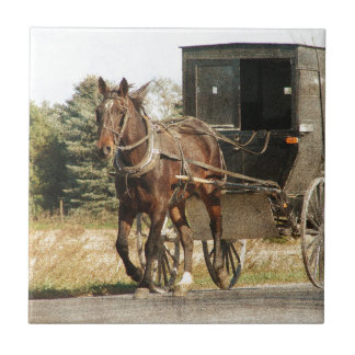 Amish häst och Buggy Kakelplatta
