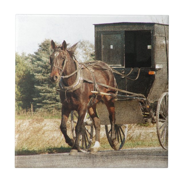 Amish häst och Buggy Kakelplatta (Framsidan)