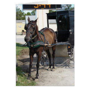 Amish Häst och buggy Livsmedel Store Stop Hälsningskort