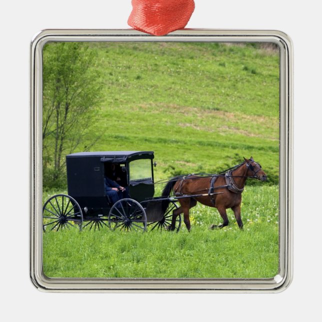 Amish häst och buggy nära Berlin, Ohio. Julgransprydnad Metall (Framsidan)