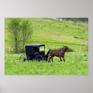 Amish häst och buggy nära Berlin, Ohio. Poster
