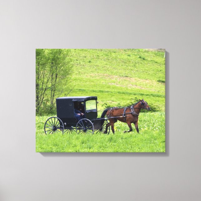 Amish häst och vagn nära Berlin, Ohio. Canvastryck (Framsida)