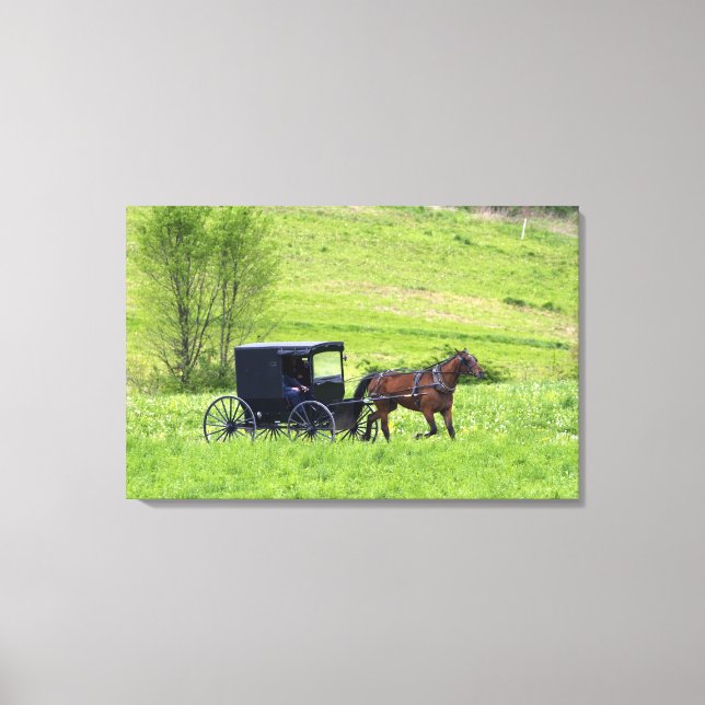 Amish häst och vagn nära Berlin, Ohio. Canvastryck (Framsida)