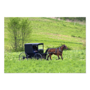 Amish häst och vagn nära Berlin, Ohio. Fototryck