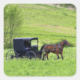 Amish häst och vagn nära Berlin, Ohio. Fyrkantigt Klistermärke
