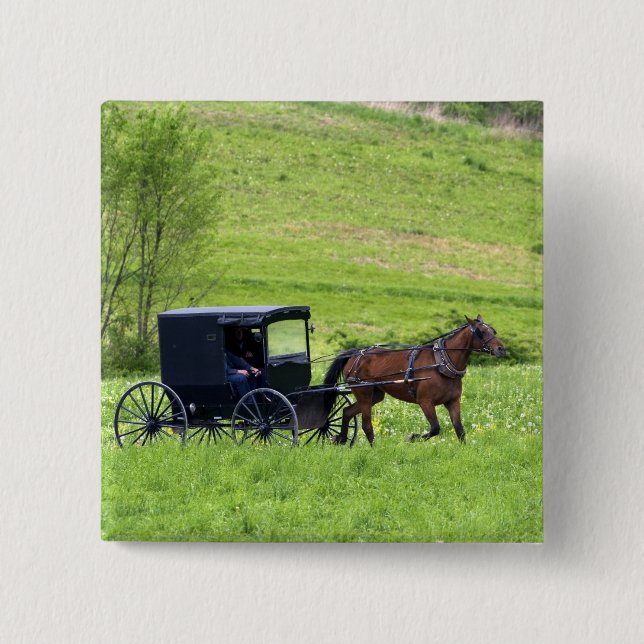 Amish häst och vagn nära Berlin, Ohio. Knapp (Framsida)