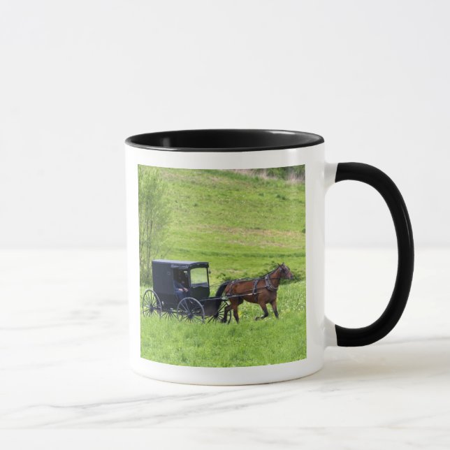 Amish häst och vagn nära Berlin, Ohio. Mugg (Höger)