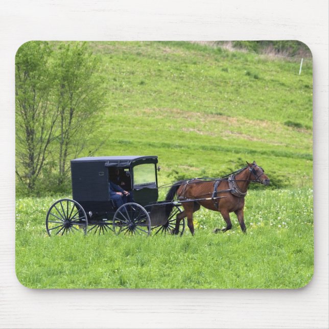 Amish häst och vagn nära Berlin, Ohio. Musmatta (Framsidan)